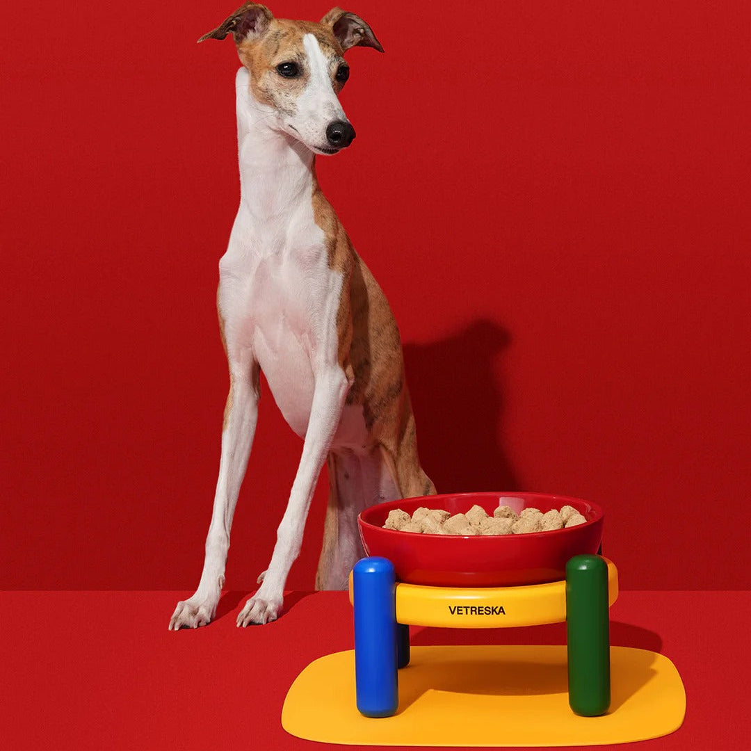 Chroma Pet Bowl & Mat Set