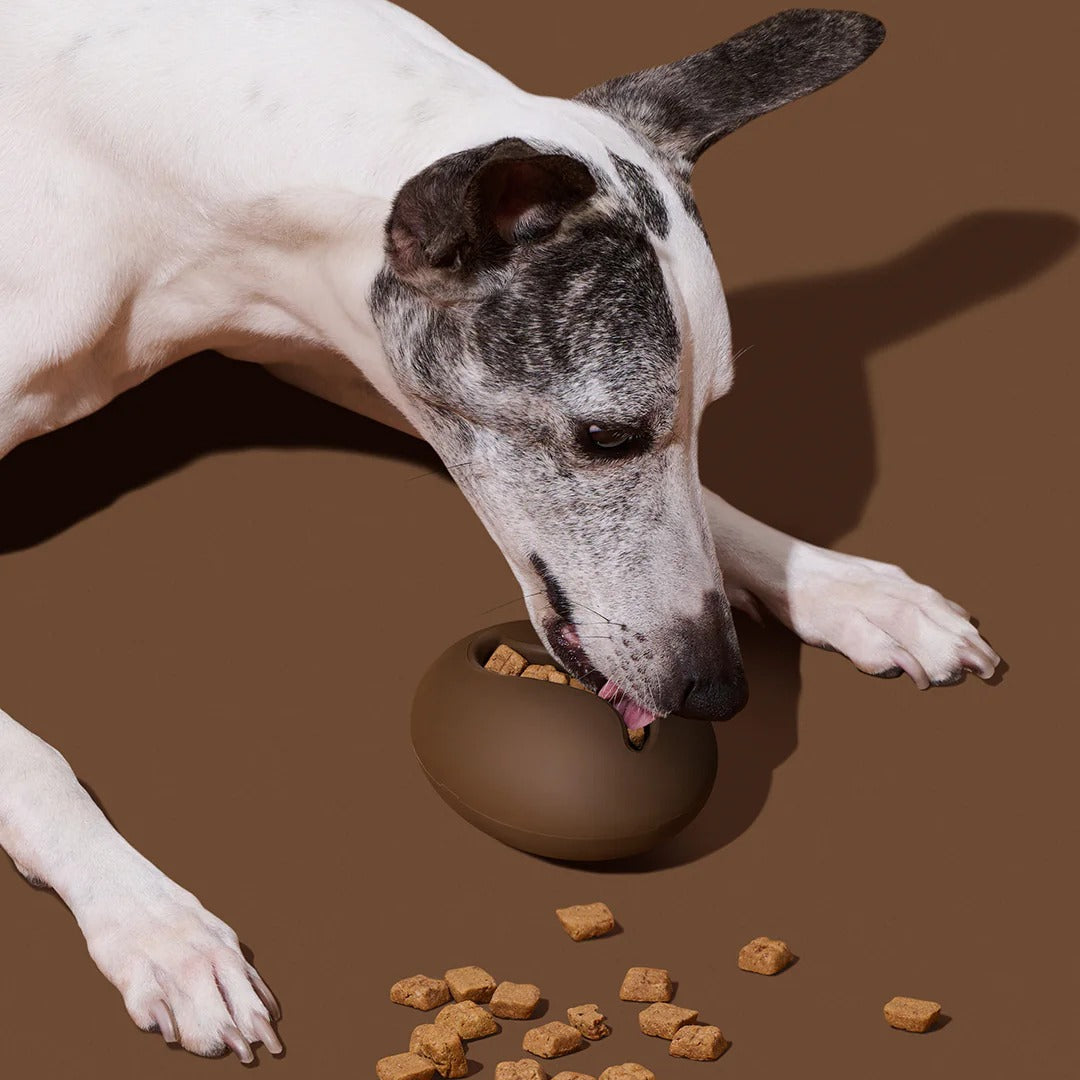 Coffee Pet Feeder Toy