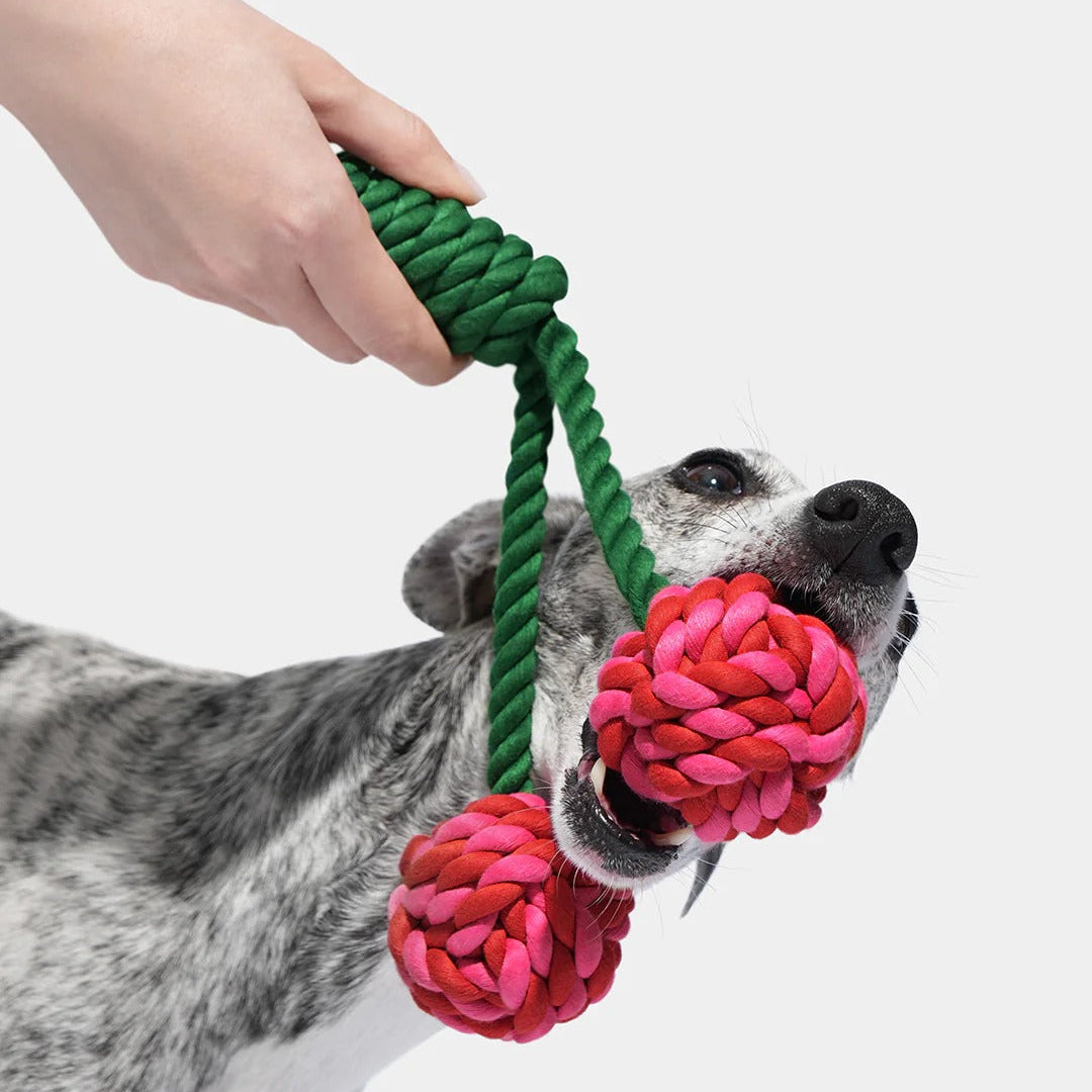 Cherry Knot Rope Toy