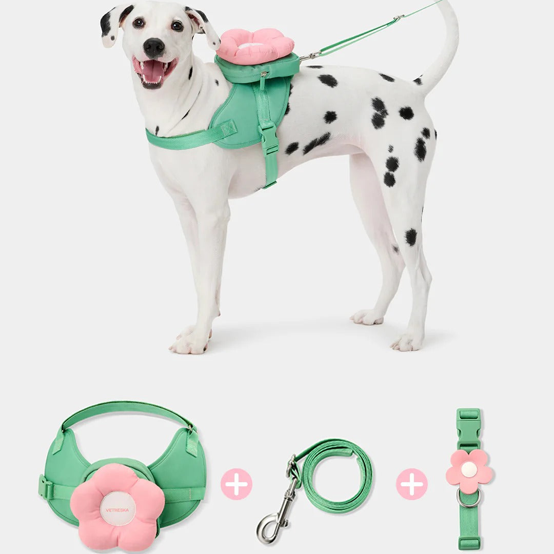 Flora Backpack & Harness 3 in 1 Set