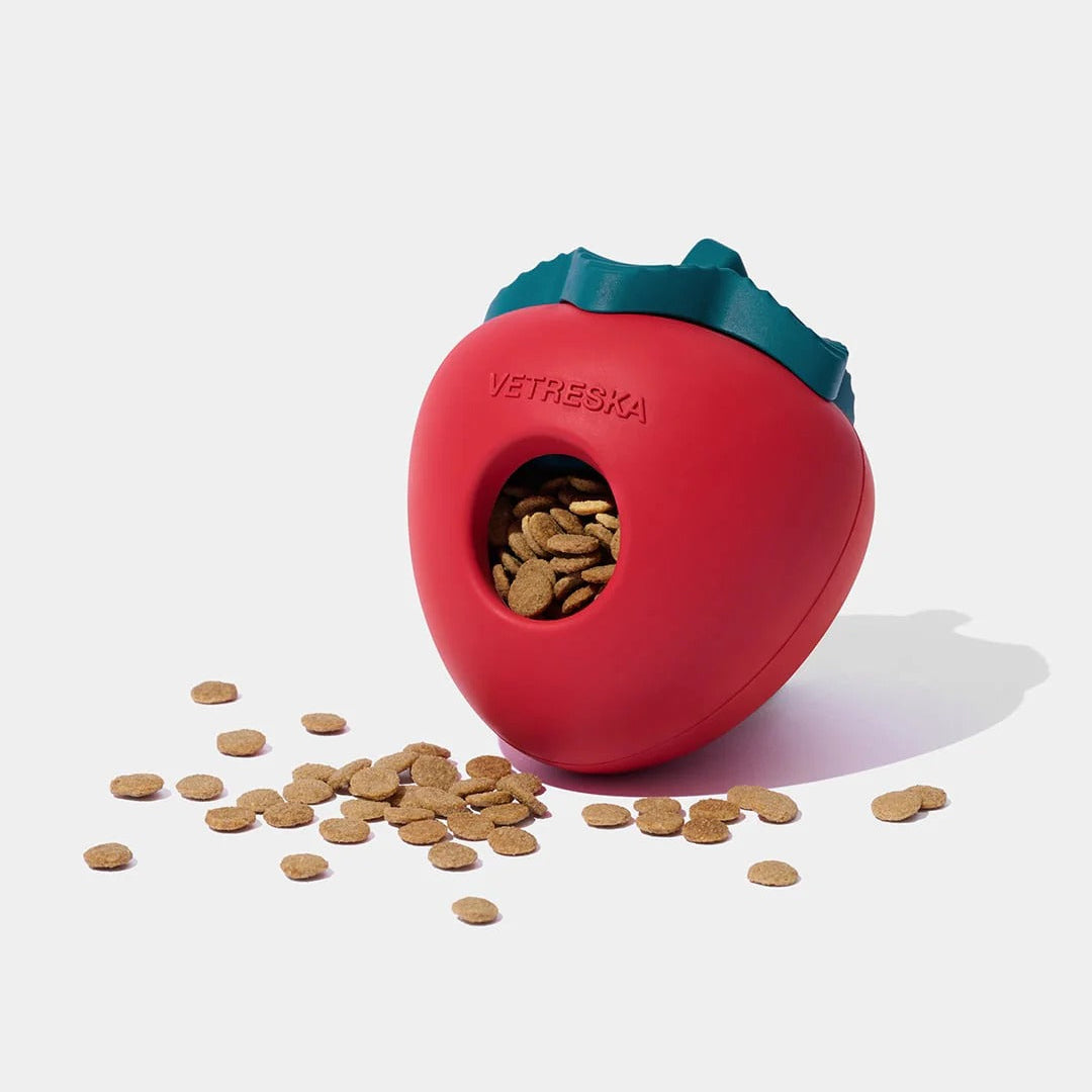 Strawberry Pet Treat Dispensing Toy