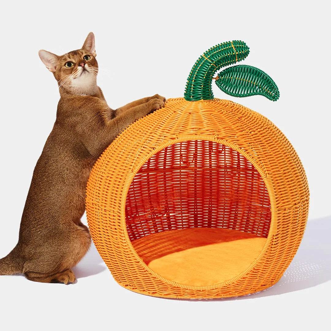 Tangerine Rattan Pet Bed