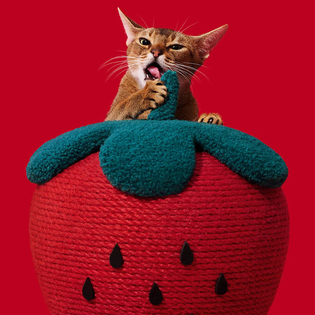 Strawberry Cat Scratching Ball