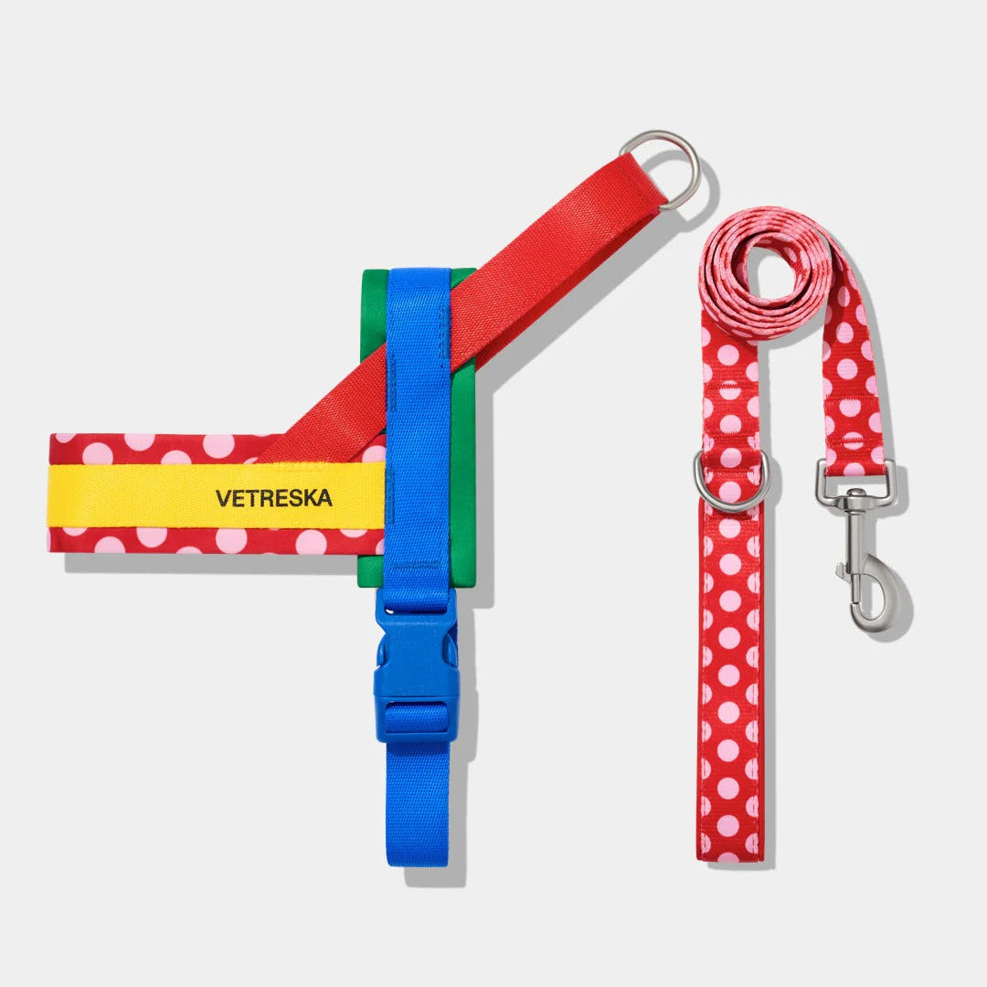 Chroma Pet Harness & Leash Set (Red)