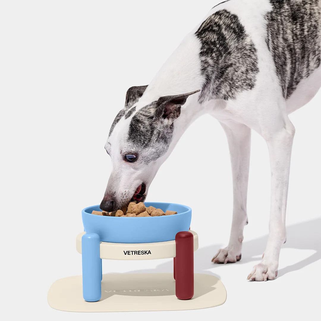 Mist and Merlot Pet Bowl & Mat Set