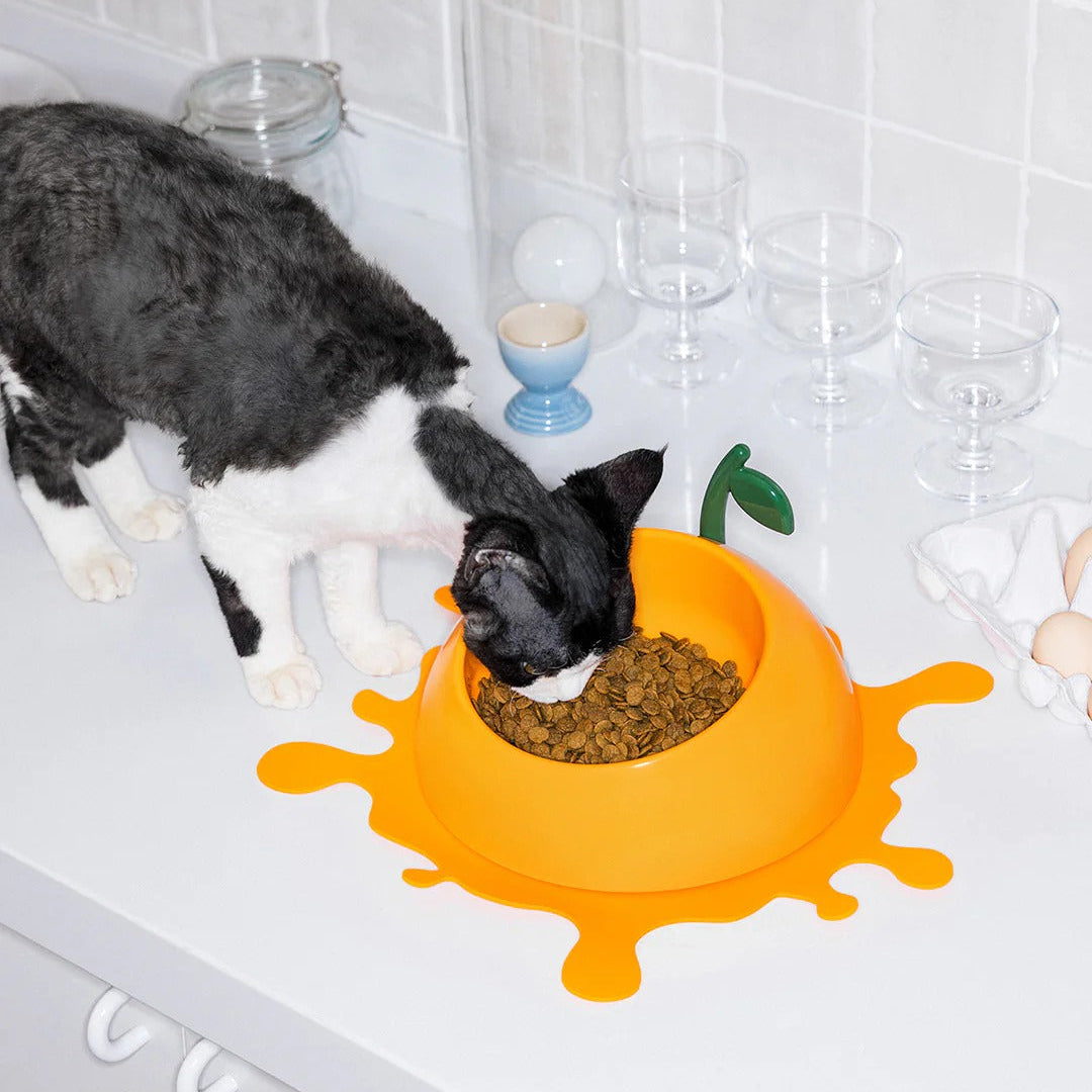Juicy Tangerine Pet Bowl Spoon & Mat Set