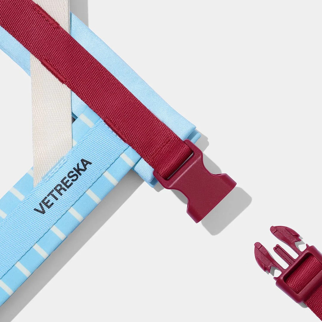 Mist and Merlot Pet Harness & Leash Set