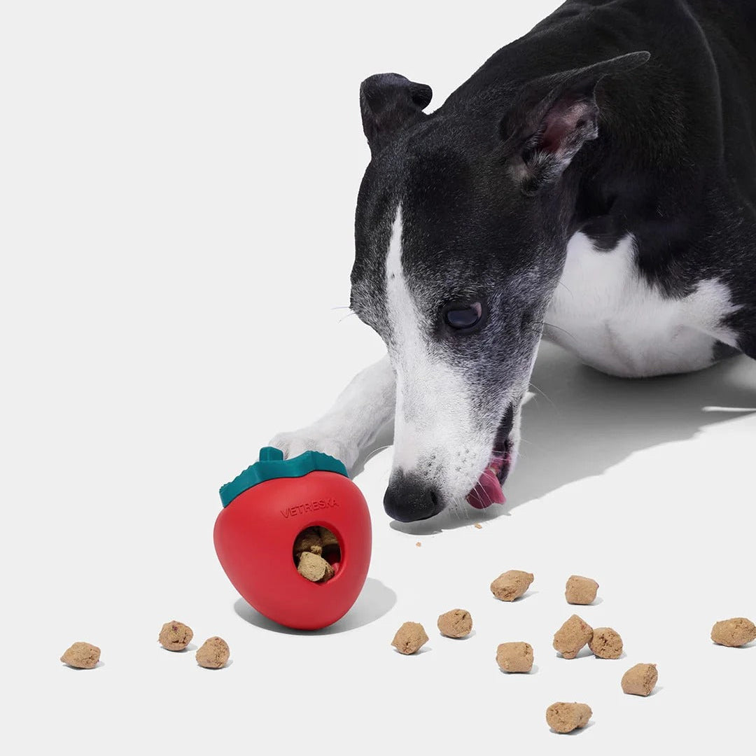 Strawberry Pet Treat Dispensing Toy