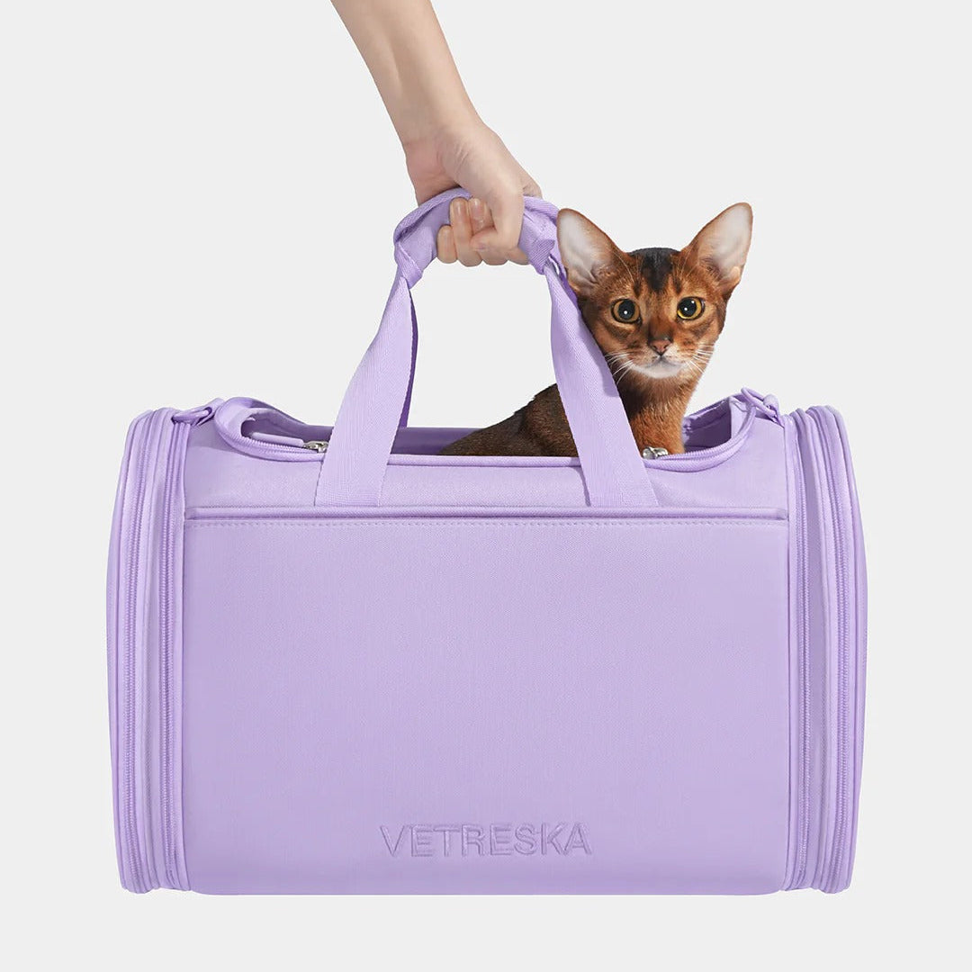 Violet Voyage Pet Carrier