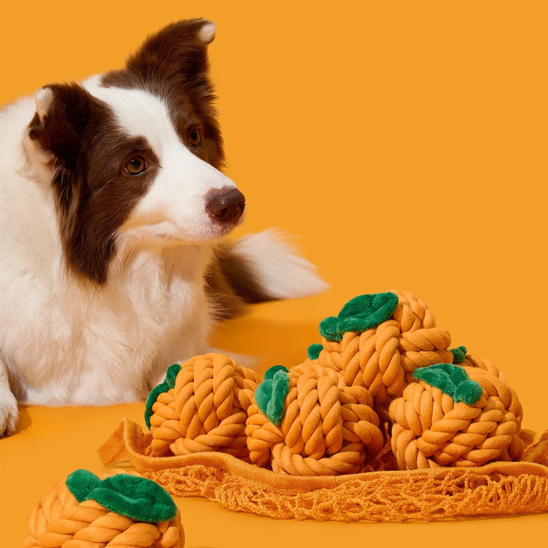 Tangerine Knot Rope Toy