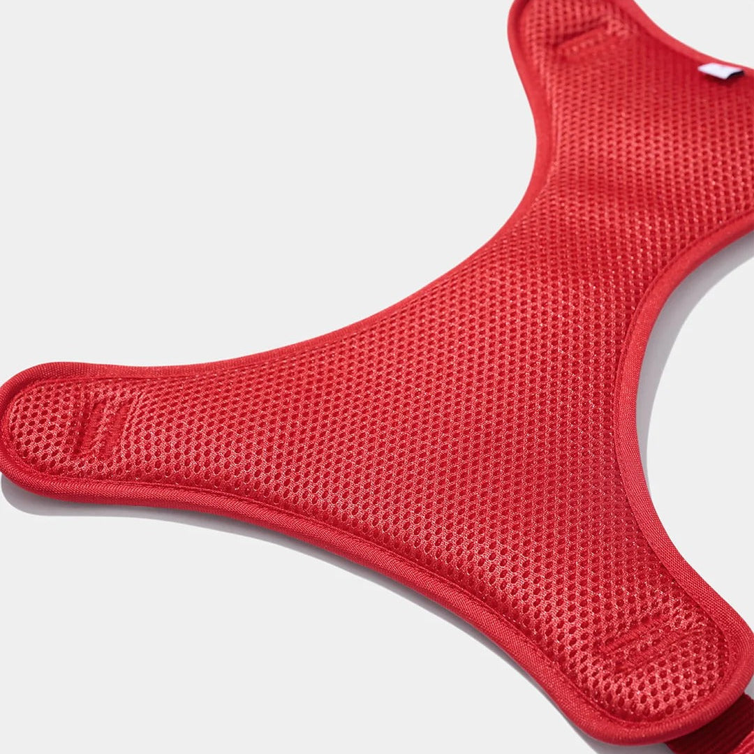 Strawberry Pet Backpack Harness & Leash