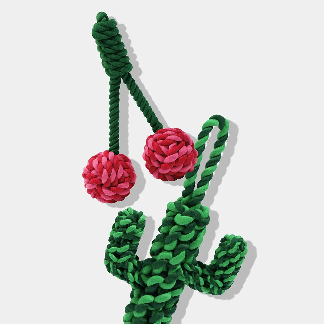 Oasis Cactus Knot Rope Toy