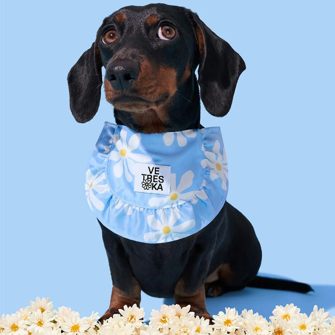 Daisy Pet Bib