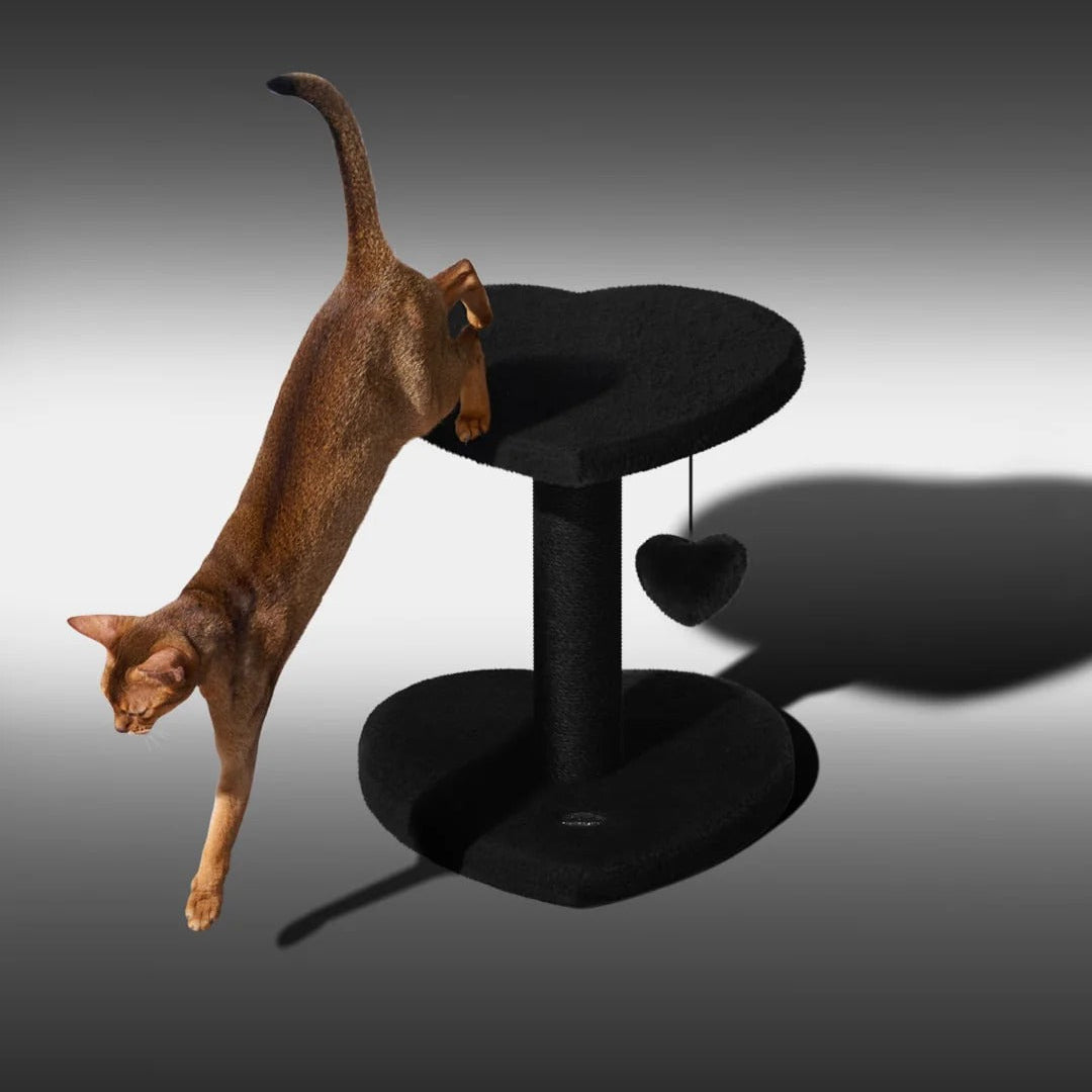 Heartpurrnoir Cat Climber (2 Platform)