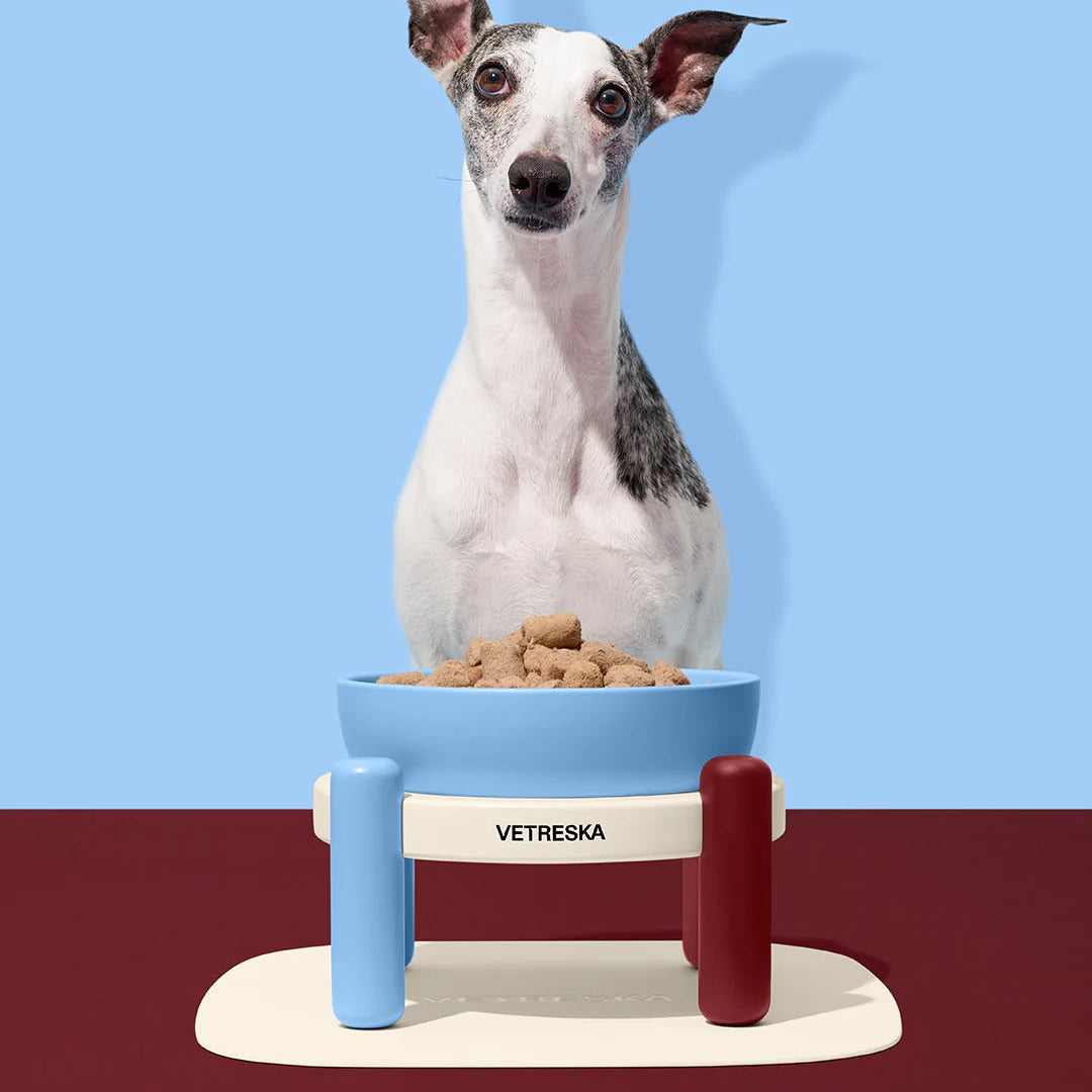 Mist and Merlot Pet Bowl & Mat Set