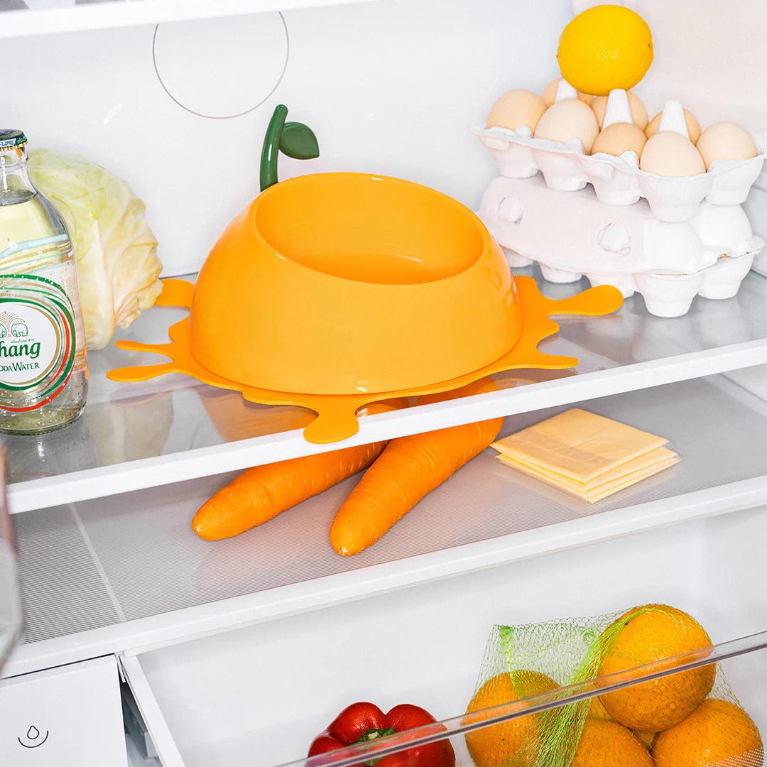 Juicy Tangerine Pet Bowl Spoon & Mat Set