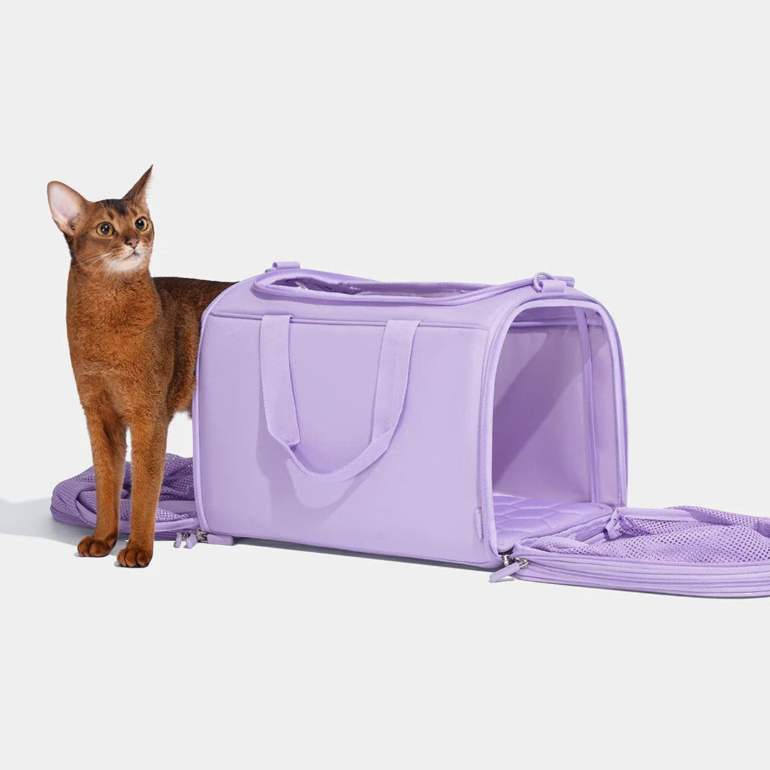 Violet Voyage Pet Carrier