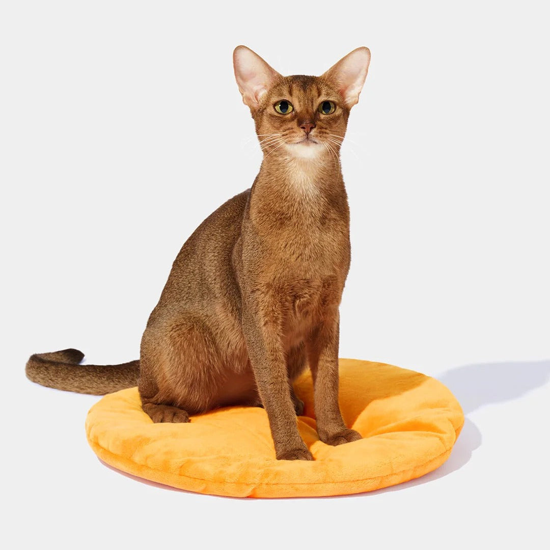 Tangerine Rattan Pet Bed