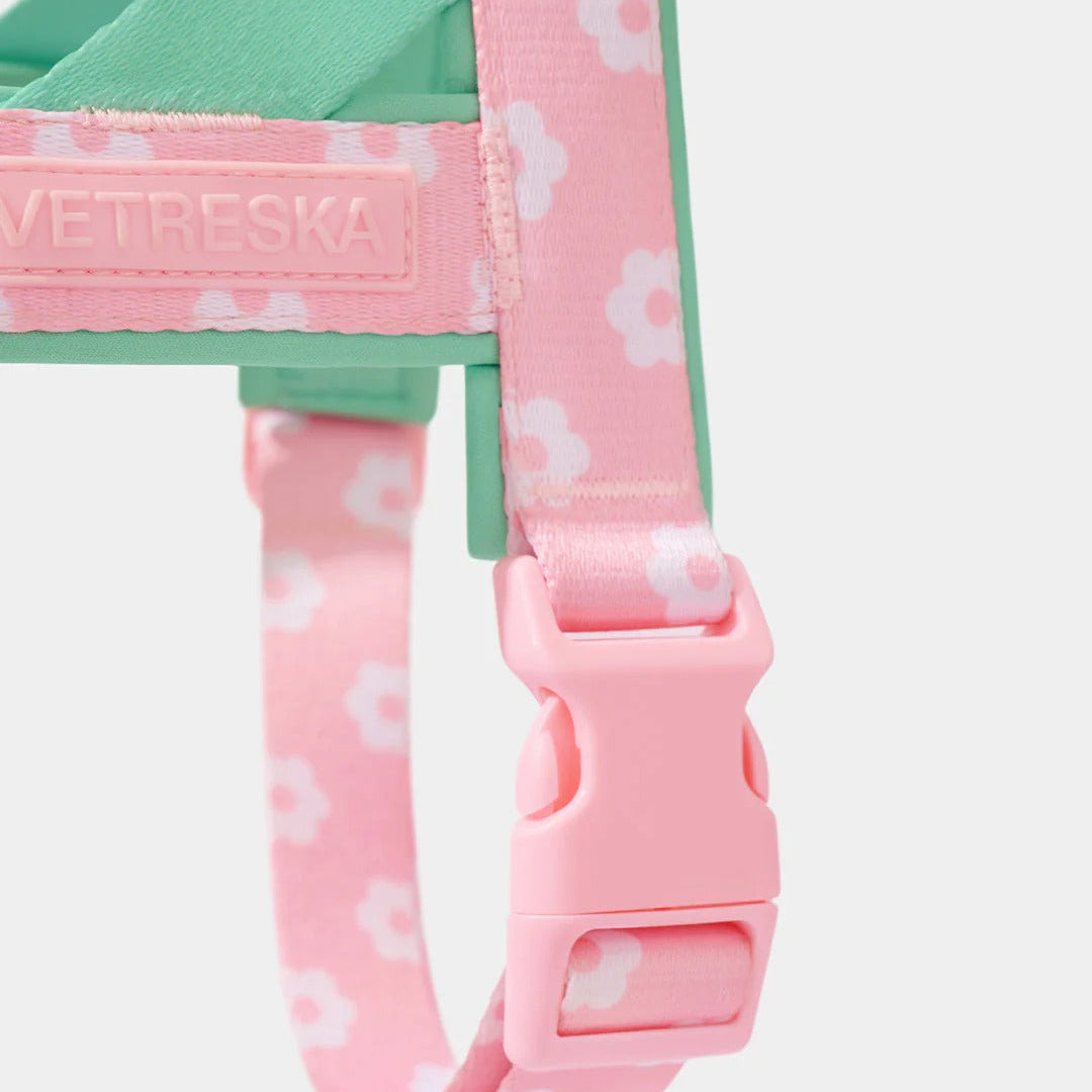 Flora Pet Harness & Leash Set
