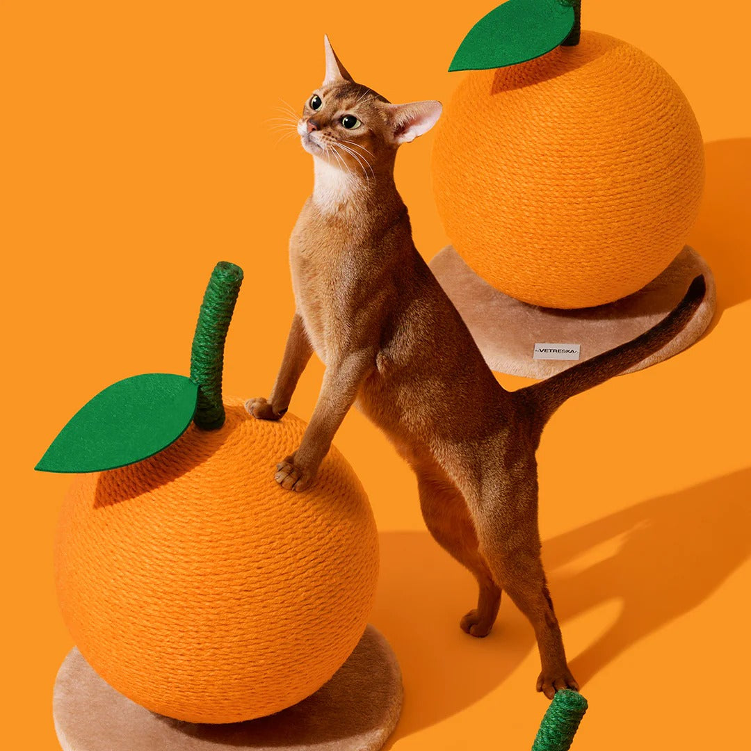 Tangerine Cat Scratching Ball