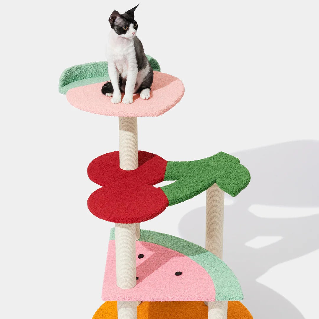 Fruit Frenzy Cat Climber