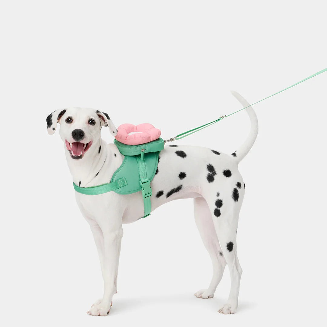 Flora Backpack & Harness 3 in 1 Set