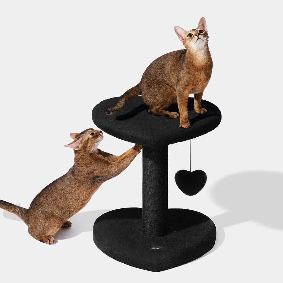 Heartpurrnoir Cat Climber (2 Platform)