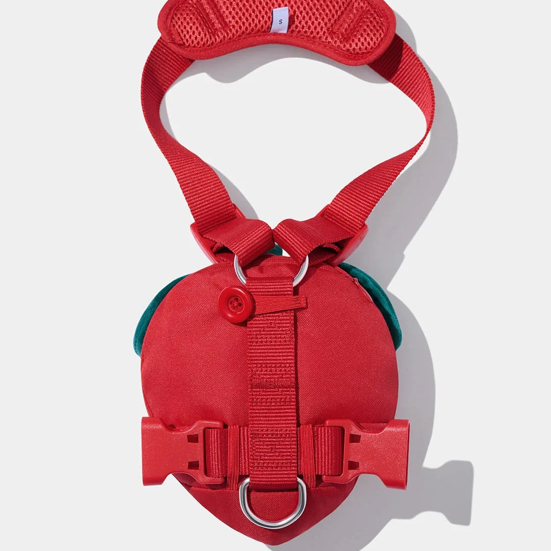 Strawberry Pet Backpack Harness & Leash