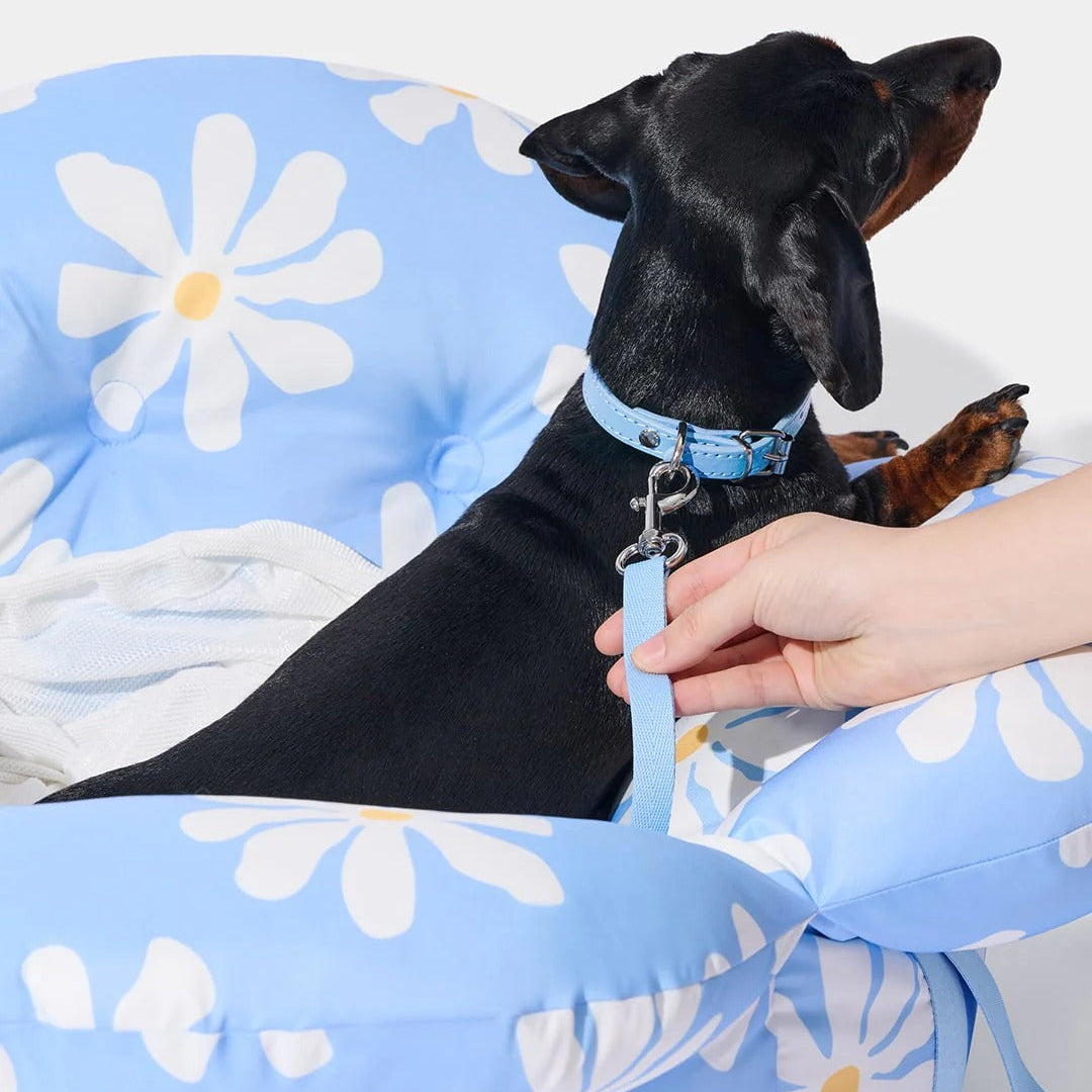 Daisy Car Seat Pet Carrier