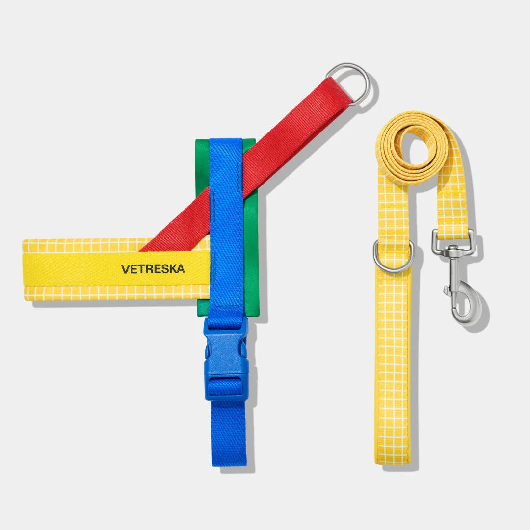 Chroma Pet Harness & Leash Set (Yellow)