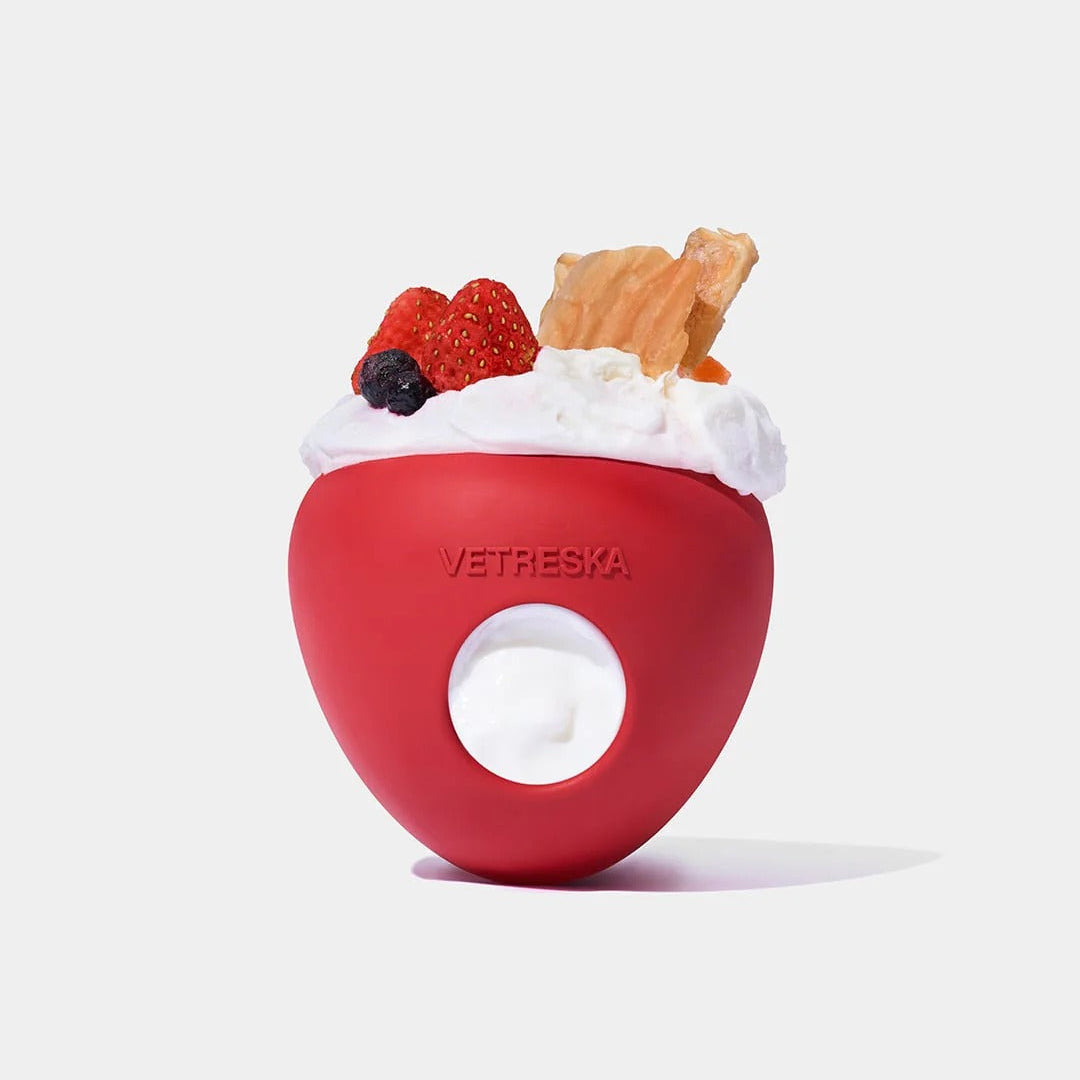 Strawberry Pet Treat Dispensing Toy