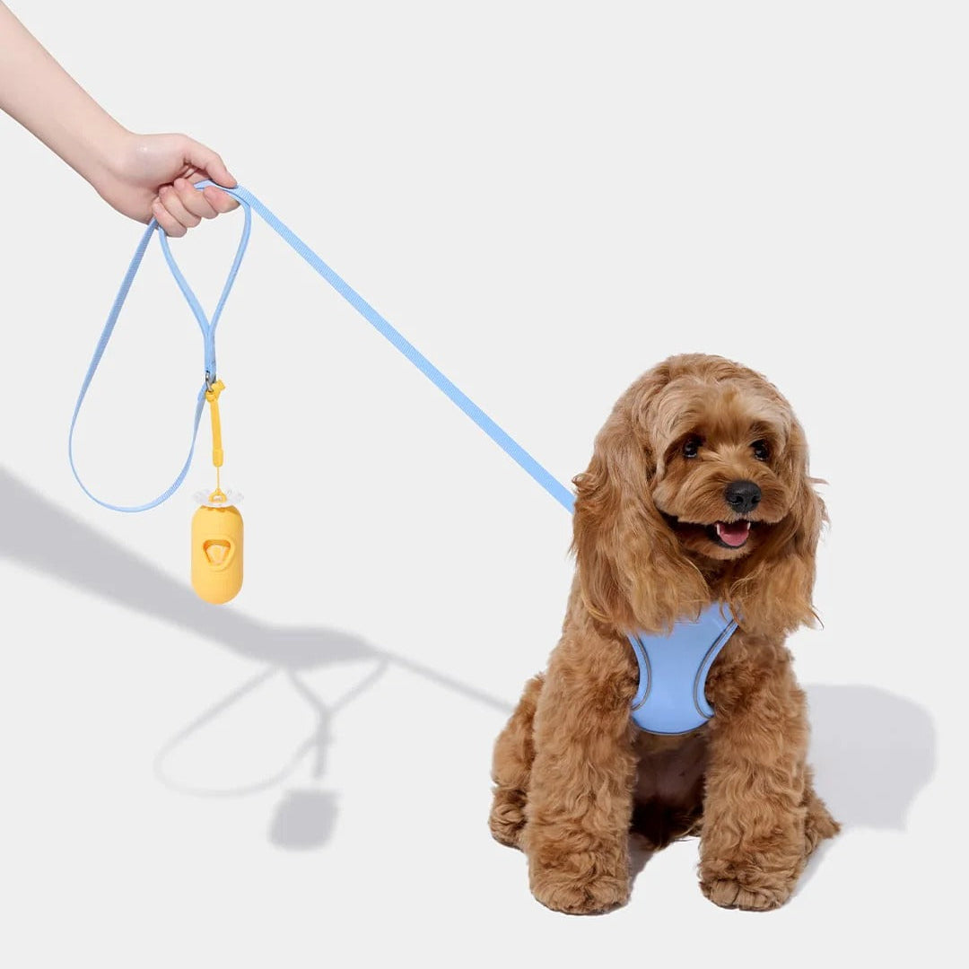 Daisy Pet Harness & Leash Set