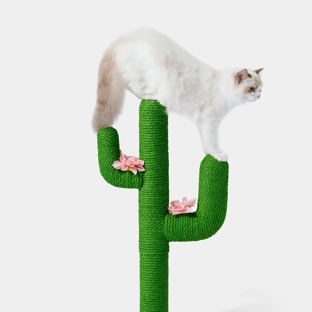 Oasis Cactus Cat Tree 31"