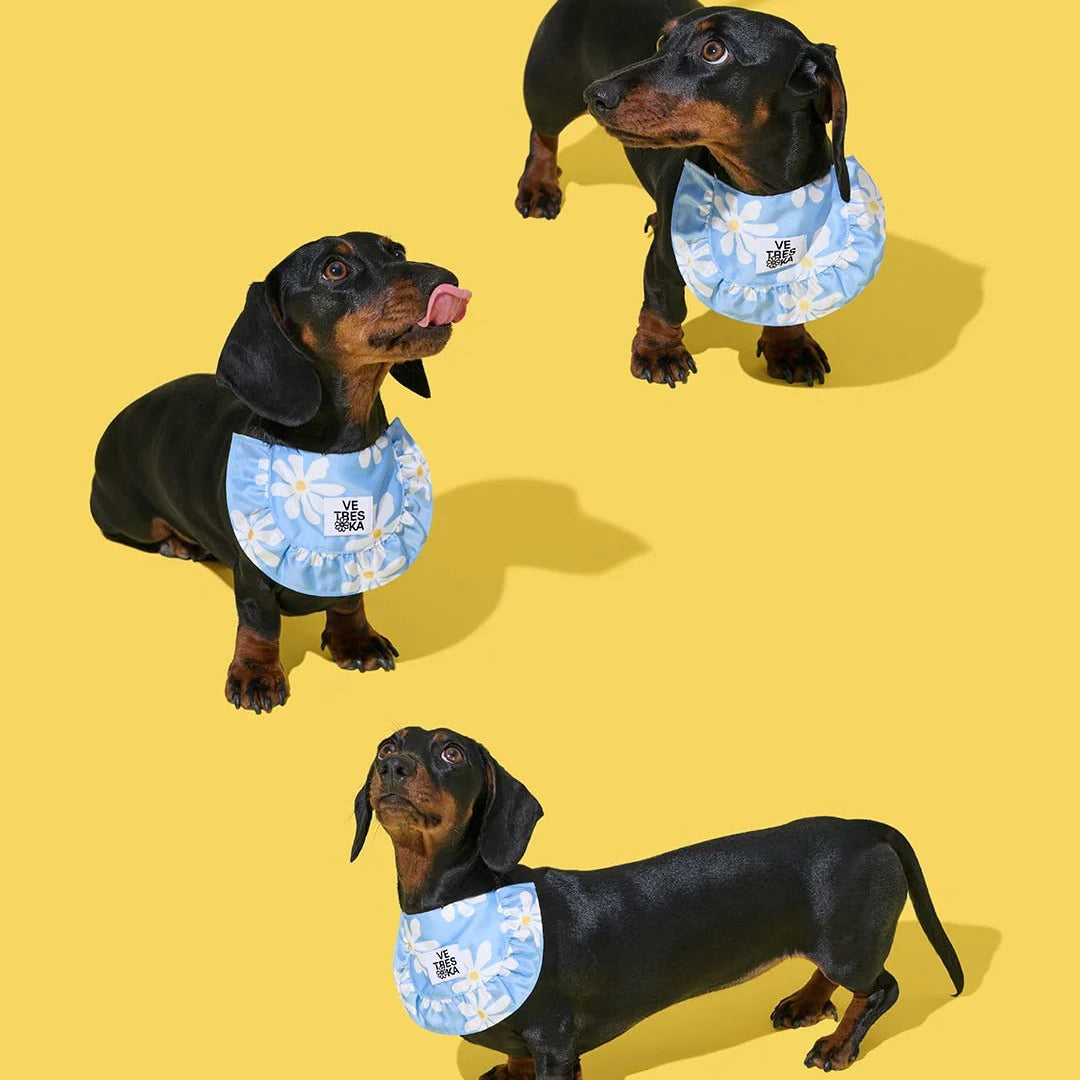 Daisy Pet Bib