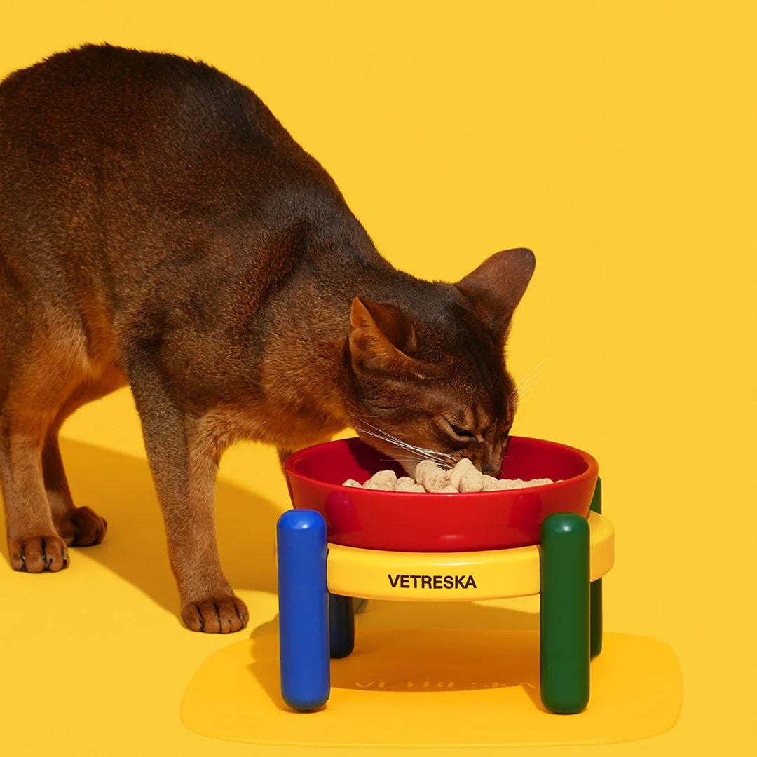 Chroma Pet Bowl & Mat Set