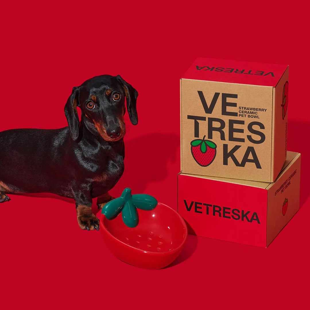 Strawberry Ceramic Pet Bowl