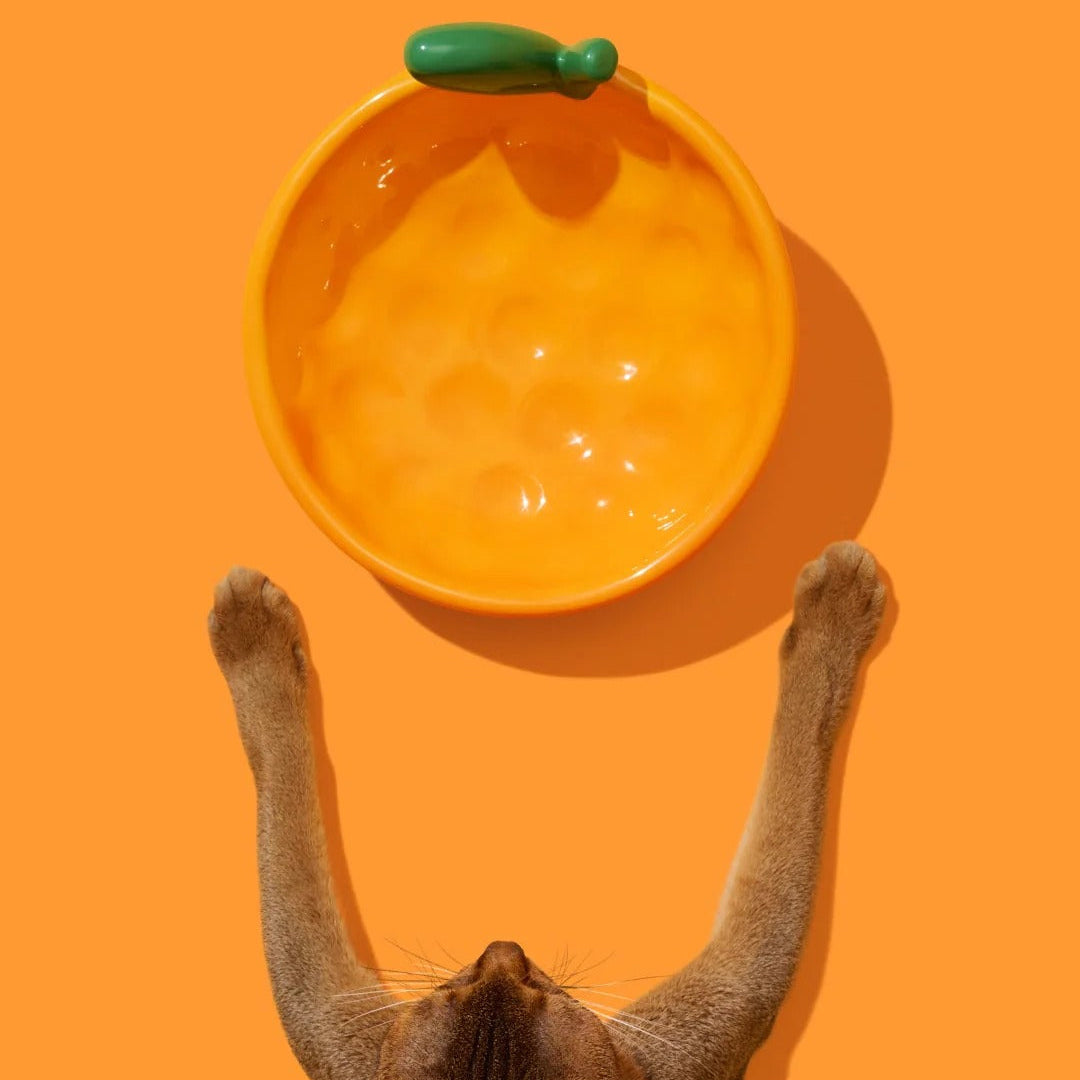 Tangerine Ceramic Pet Bowl