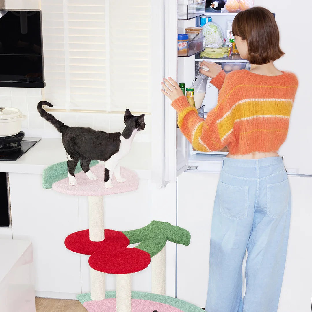 Fruit Frenzy Cat Climber