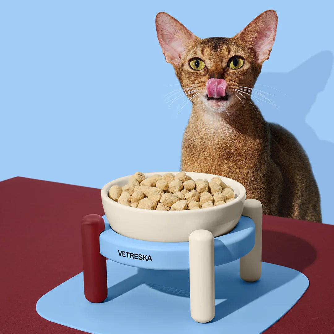 Mist and Merlot Pet Bowl & Mat Set