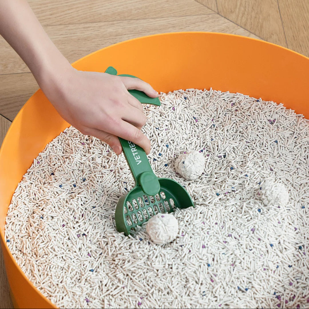 Tangerine Cat Litter Box