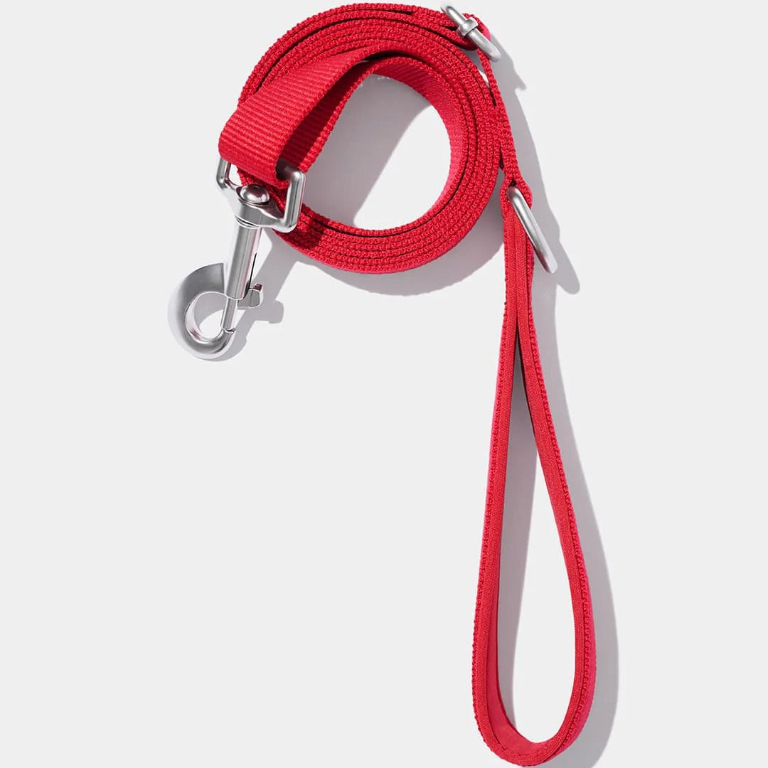 Strawberry Pet Backpack Harness & Leash