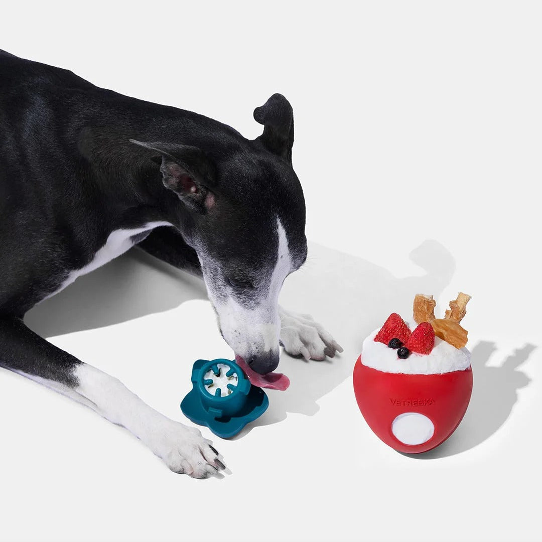 Strawberry Pet Treat Dispensing Toy