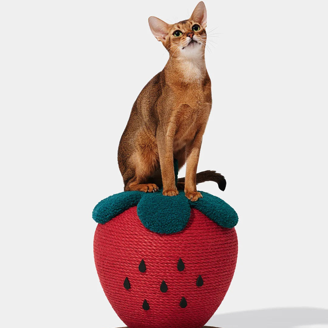Strawberry Cat Scratching Ball