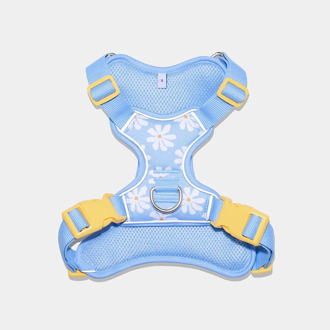 Daisy Pet Harness & Leash Set