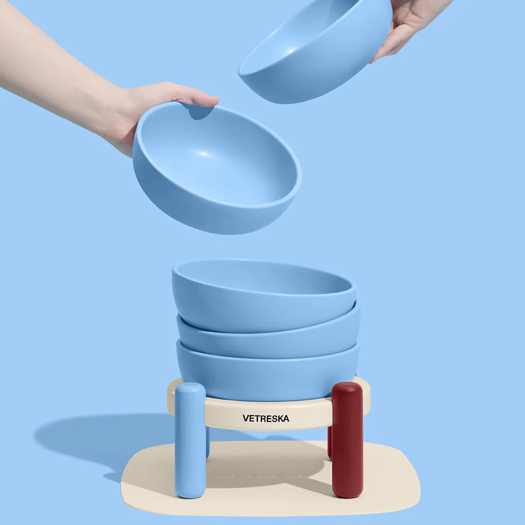 Mist and Merlot Pet Bowl & Mat Set