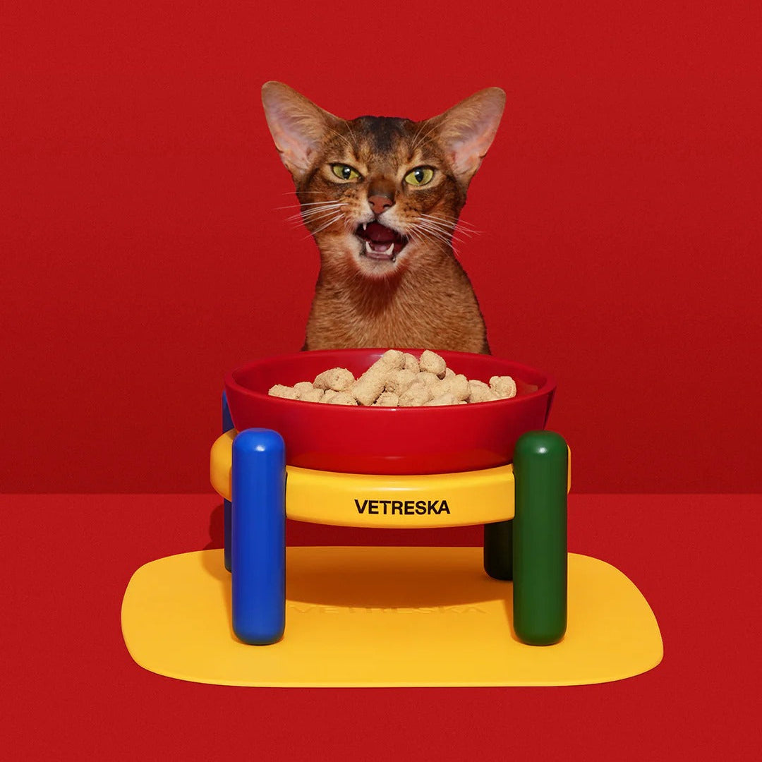Chroma Pet Bowl & Mat Set