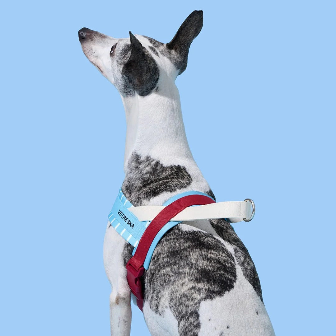 Mist and Merlot Pet Harness & Leash Set