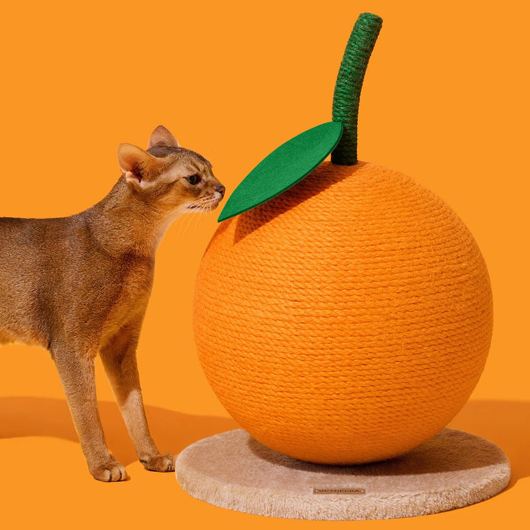 Tangerine Cat Scratching Ball