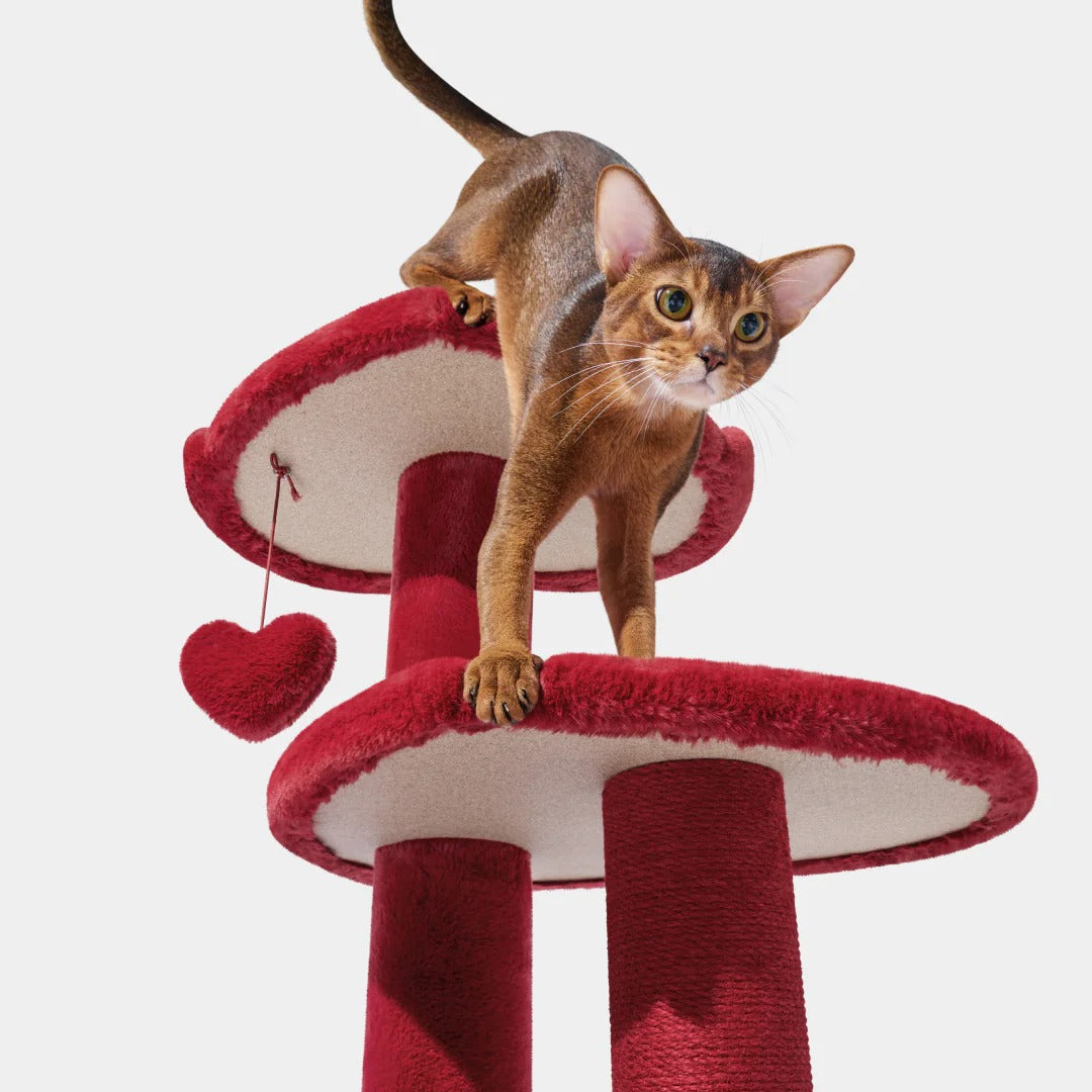 Heartpurrouge Cat Climber (4 Platform)