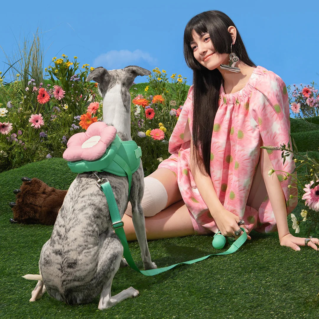 Flora Backpack & Harness 3 in 1 Set